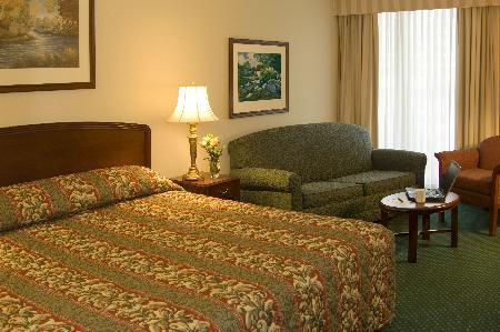 Hotel Carlingview Toronto Airport Μισισάουγκα Δωμάτιο φωτογραφία